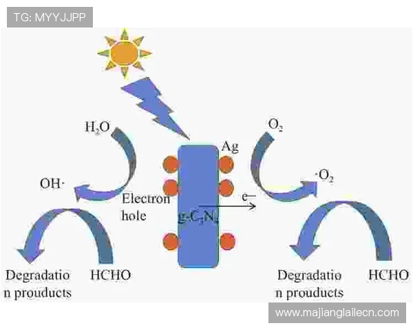 深入解析ag电子放分的操作流程与常见误区帮助玩家避免失误