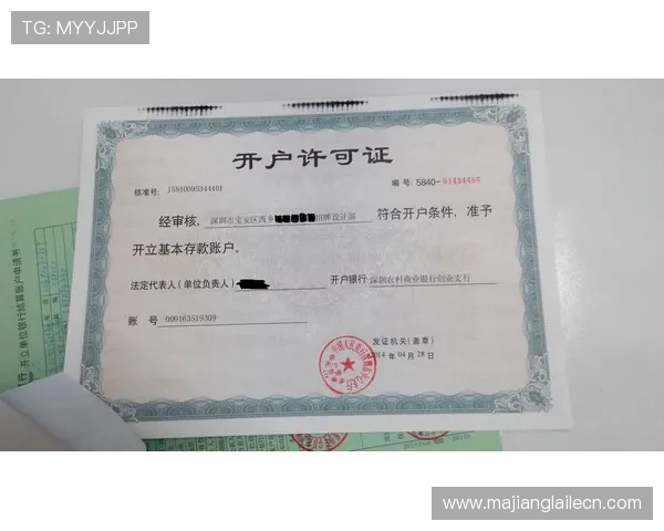 PG官网现金开户许可证办理流程详解帮助玩家顺利完成账户开设